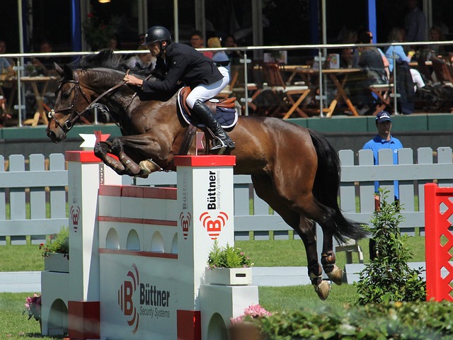 一个显著问 一个显著问