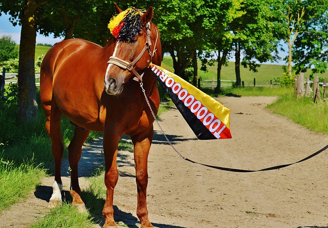 守端也同样 守端也同样