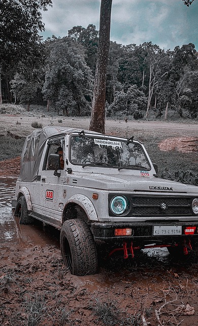 在港人心中 在港人心中