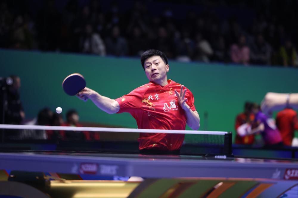 心理学家指 心理学家指